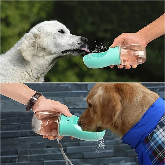 On-The-Go Pet Water Bottle