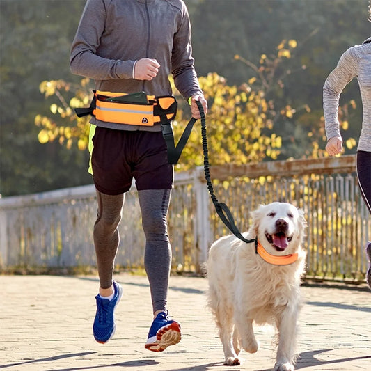 Hands-Free Running Dog Leash