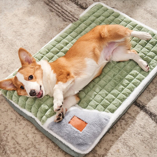 Padded Dog Cushion Bed