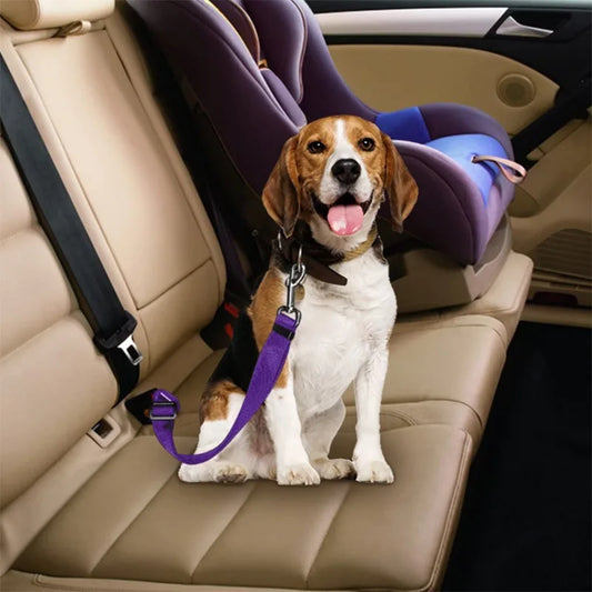 Dog Safety Chest Car Strap