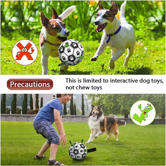 Interactive Dog Soccer Ball